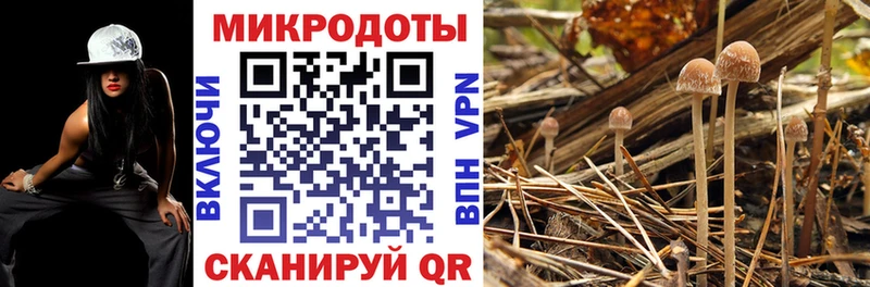 МЕГА маркетплейс  Углегорск  Галлюциногенные грибы мухоморы  хочу  